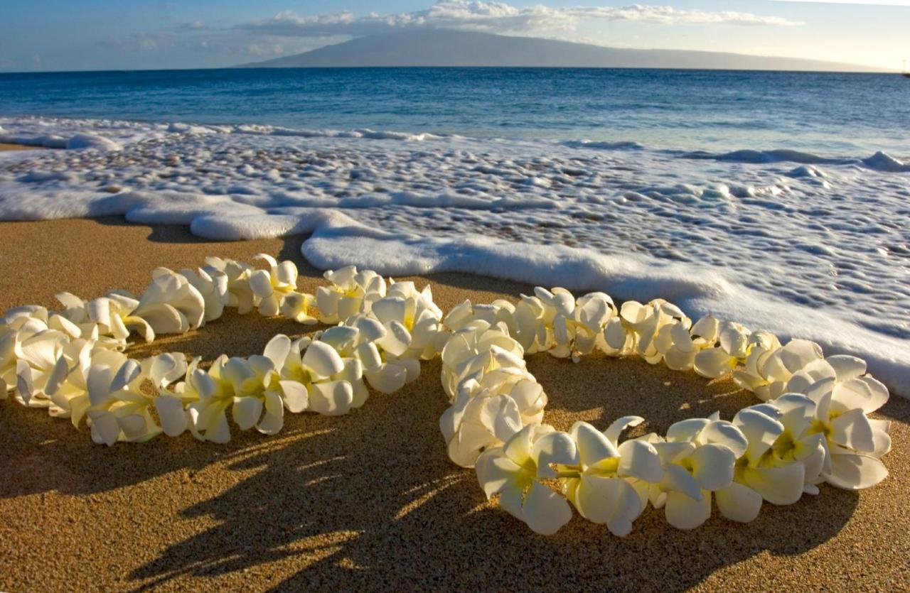 Diamond Head Views Retreat With Free Parking & Near Waikiki Beach! โฮโนลูลู ภายนอก รูปภาพ