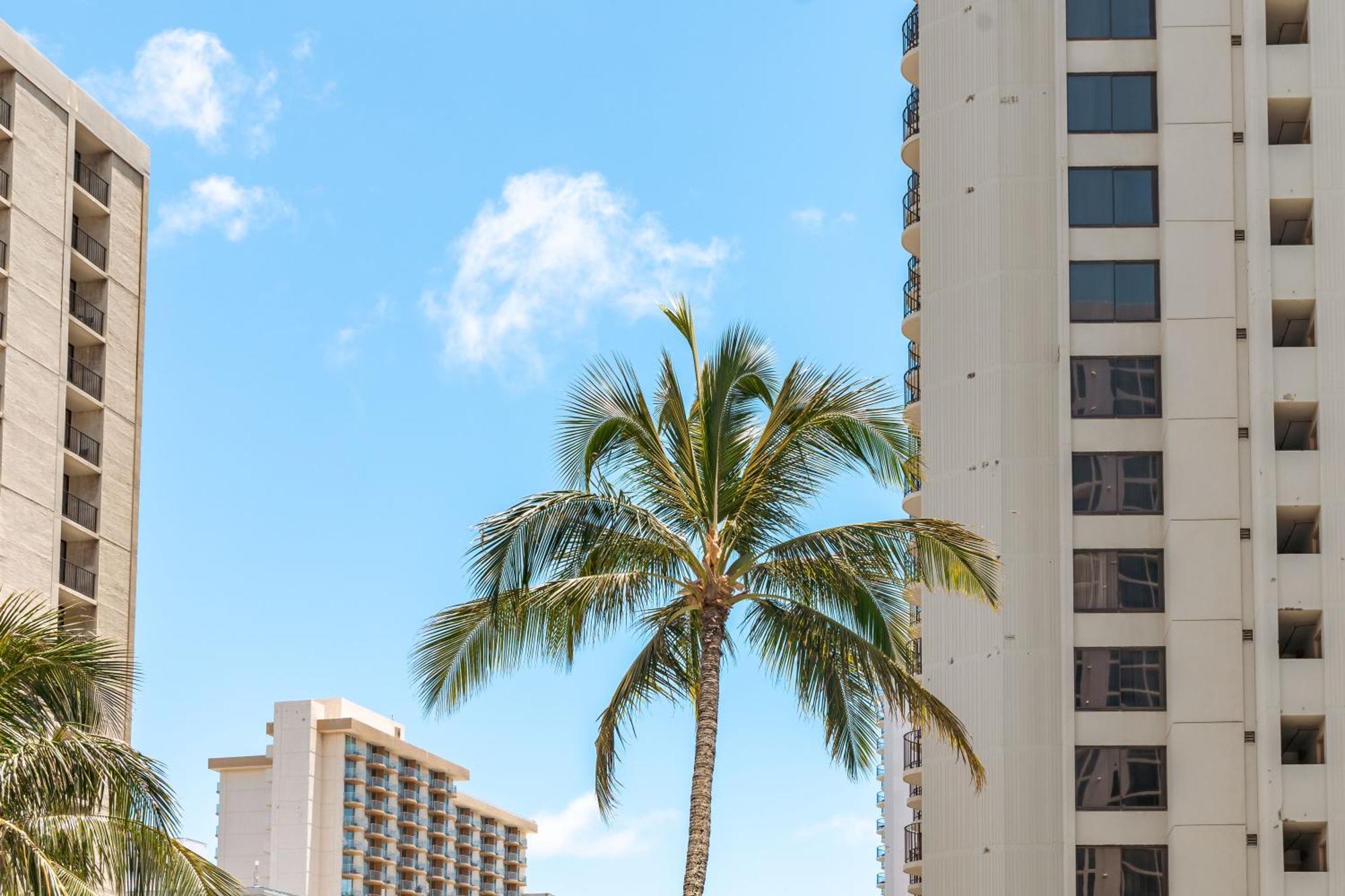Diamond Head Views Retreat With Free Parking & Near Waikiki Beach! โฮโนลูลู ภายนอก รูปภาพ